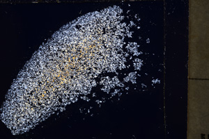 Cross Polarized, E22654