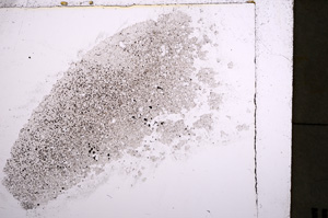 Plane Polarized, E22654