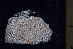 Cross Polarized, E22655