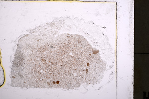 Plane Polarized, E22655