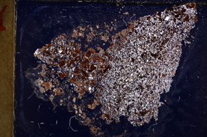 Cross Polarized, E22657