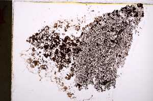 Plane Polarized, E22657