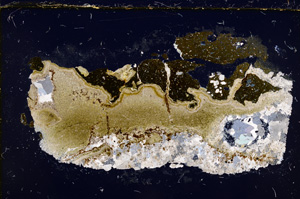 Cross Polarized, E22669