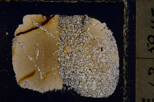 Cross Polarized, E22676