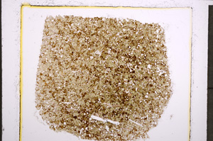 Plane Polarized, E22682