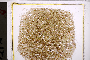 Plane Polarized, E22683