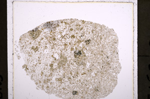 Plane Polarized, E22688