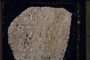 Cross Polarized, E22690