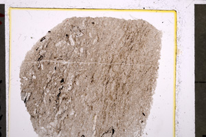 Plane Polarized, E22690