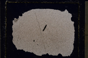 Cross Polarized, E22691