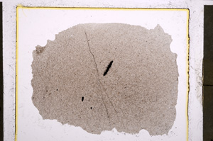 Plane Polarized, E22691