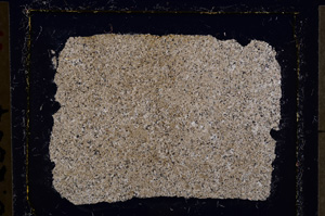 Cross Polarized, E22692