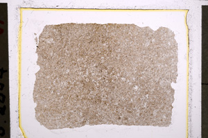 Plane Polarized, E22692