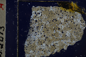Cross Polarized, E22703