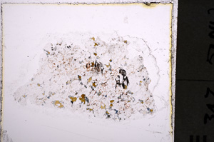 Plane Polarized, E22724