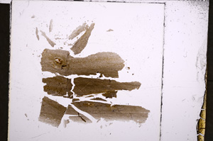 Plane Polarized, E22727