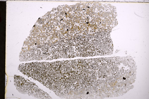 Plane Polarized, E22736