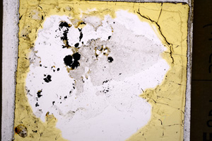 Plane Polarized, E22744
