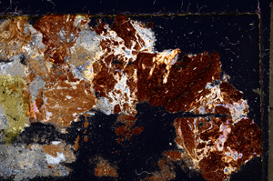 Cross Polarized, E22745