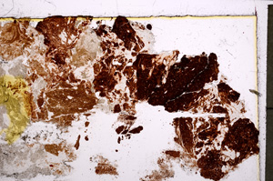 Plane Polarized, E22745