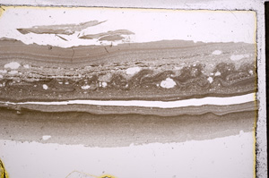 Plane Polarized, E22751