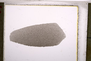 Plane Polarized, E22773