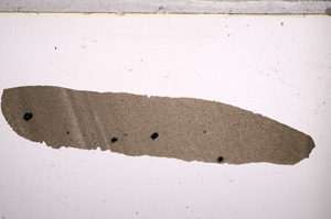 Plane Polarized, E22774