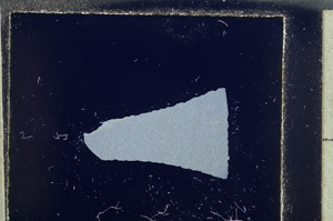 Cross Polarized, E22775