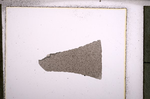 Plane Polarized, E22775