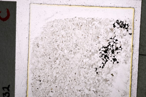 Plane Polarized, E22776