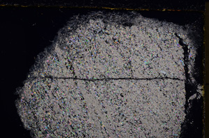 Cross Polarized, E22810