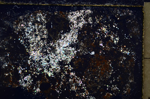 Cross Polarized, E22813