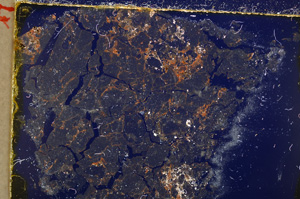 Cross Polarized, E22814