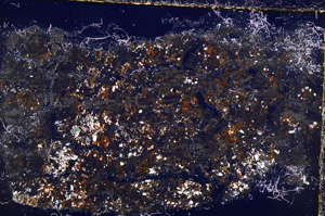 Cross Polarized, E22815