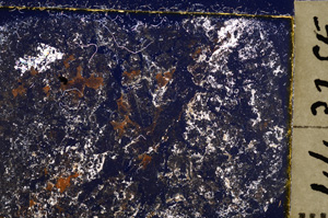 Cross Polarized, E22818