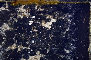Cross Polarized, E22820