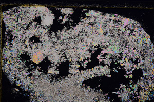 Cross Polarized, E22824