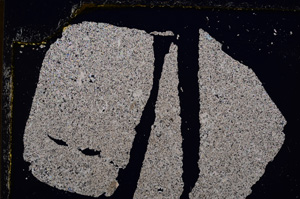 Cross Polarized, E22825