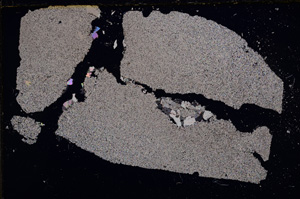 Cross Polarized, E22826