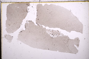 Plane Polarized, E22826