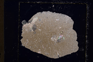 Cross Polarized, E22843