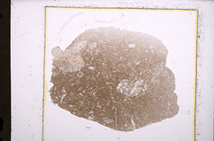 Plane Polarized, E22843