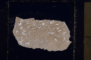 Cross Polarized, E22844