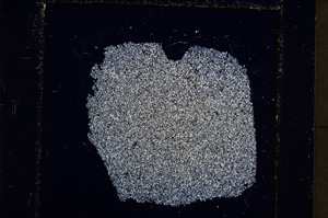 Cross Polarized, E22845