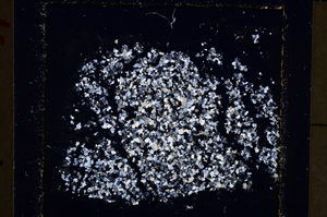 Cross Polarized, E22852