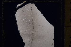 Cross Polarized, E22872