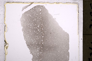 Plane Polarized, E22872