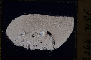 Cross Polarized, E22873