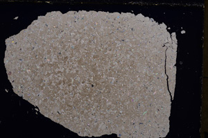 Cross Polarized, E22874