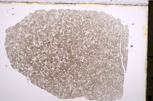 Plane Polarized, E22874